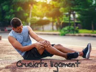 رباط صلیبی چیست و چه آسیب هایی ممکن است ایجاد کند؟