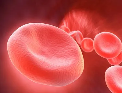 فرودین مکمل مناسب کم خونی